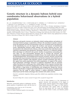 Genetic Structure in a Dynamic Baboon Hybrid Zone Corroborates Behavioural Observations in a Hybrid Population