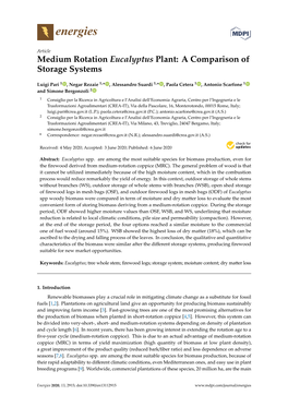 Medium Rotation Eucalyptus Plant: a Comparison of Storage Systems