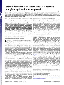 Patched Dependence Receptor Triggers Apoptosis Through Ubiquitination of Caspase-9