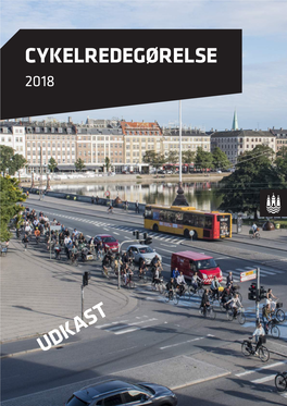 Cykelredegørelse Udkast