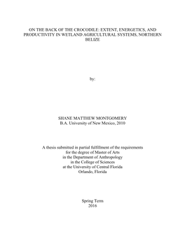 Extent, Energetics, and Productivity in Wetland Agricultural Systems, Northern Belize