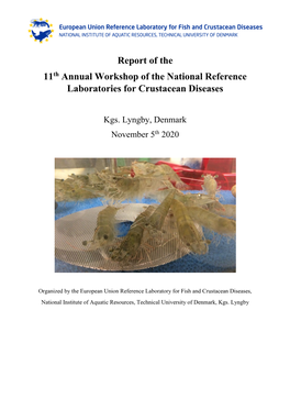 Report from Annual Workshop