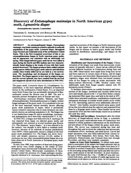 Discovery of Entomophaga Maimaiga in North American Gypsy Moth, Lymantria Dispar (Entomophthorales/Epizootic/Lymantriidae) THEODORE G