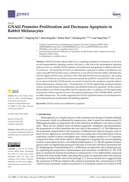 GNAI2 Promotes Proliferation and Decreases Apoptosis in Rabbit Melanocytes
