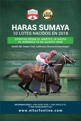 HARAS SUMAYA 10 LOTES NACIDOS EN 2018 OFERTAS DESDE EL MARTES 18 HASTA EL DOMINGO 23 DE AGOSTO 2020 HIJOS DE: Indian Trail, California Chrome & Gemologist