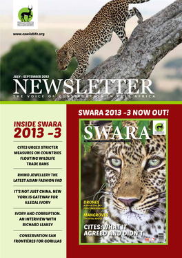 Inside Swara 2013 -3