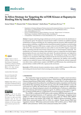 In Silico Strategy for Targeting the Mtor Kinase at Rapamycin Binding Site by Small Molecules