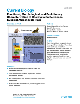 Functional, Morphological, and Evolutionary Characterization of Hearing in Subterranean, Eusocial African Mole-Rats