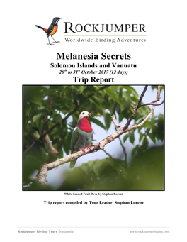 Melanesia: Secrets 2017