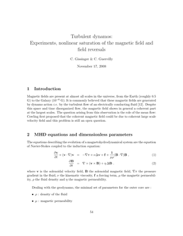 Turbulent Dynamos: Experiments, Nonlinear Saturation of the Magnetic ﬁeld and ﬁeld Reversals