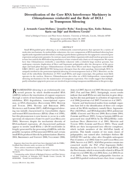 Diversification of the Core RNA Interference Machinery In