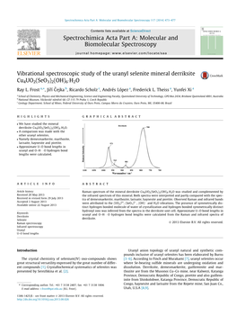 Vibrational Spectroscopic Study of the Uranyl Selenite Mineral Derriksite