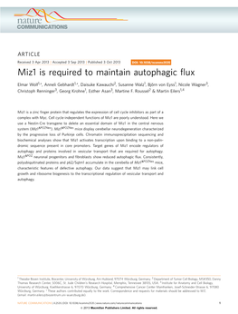 Miz1 Is Required to Maintain Autophagic Flux