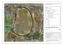 NCCMA Vegetation Condition Report