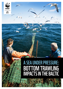 BOTTOM TRAWLING IMPACTS in the BALTIC Editorial and Production Team: Hannah Griffiths Berggren, Valerie De Liedekerke, Ottilia Thoreson, Evan Jeffries, Brandline