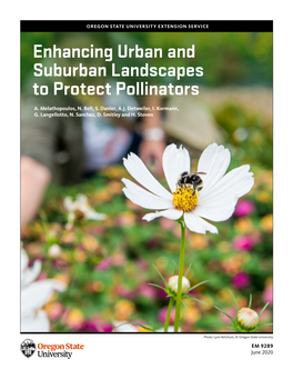 Enhancing Urban and Suburban Landscapes to Protect Pollinators