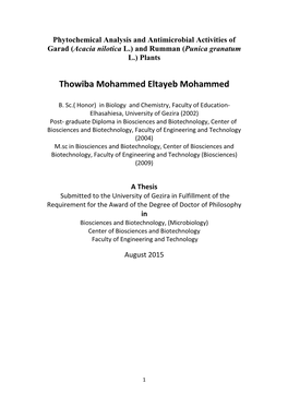 Thowiba Mohammed Eltayeb Mohammed