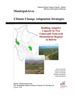 Municipal-Level Climate Change Adaptation Strategies