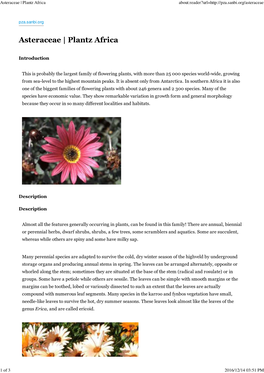 Asteraceae | Plantz Africa About:Reader?Url=