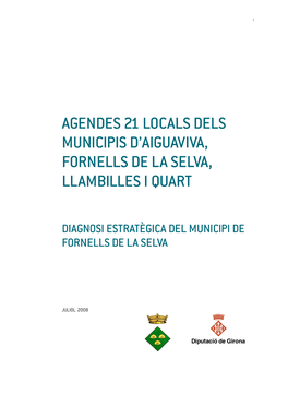 Agendes 21 Locals Dels Municipis D'aiguaviva