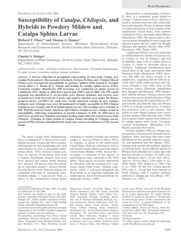 Susceptibility of Catalpa, Chilopsis, and Hybrids to Powdery Mildew