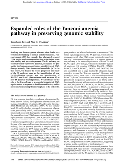 Expanded Roles of the Fanconi Anemia Pathway in Preserving Genomic Stability