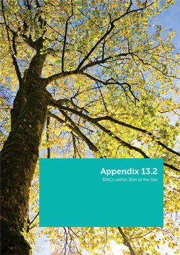 Appendix 13.2 Sincs Within 2Km of the Site Appendix 13:2 Sites of Importance for Nature Conservation (Sincs) Located Within the 2Km Study Area