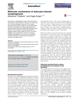 Molecular Mechanisms of Astrocyte-Induced Synaptogenesis