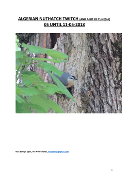 Algerian Nuthatch Twitch (And a Bit of Tunesia) 05 Until 11-05-2018