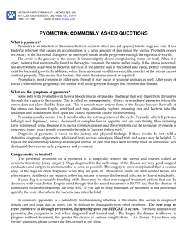 Pyometra: Commonly Asked Questions