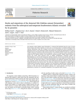 Stocks and Migrations of the Demersal Fish Umbrina Canosai