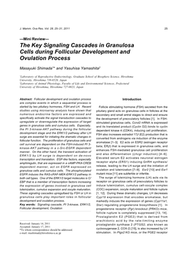 The Key Signaling Cascades in Granulosa Cells During Follicular Development and Ovulation Process