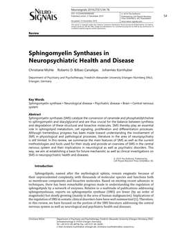 Sphingomyelin Synthases in Neuropsychiatric Health and Disease