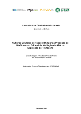 Culturas Celulares De Tabaco BY2 Para a Produção De Biofármacos: O Papel Da Metilação Do ADN Na Expressão Do Transgene