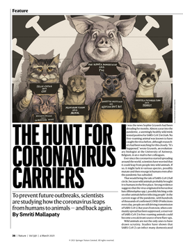 The Hunt for Coronavirus Carriers