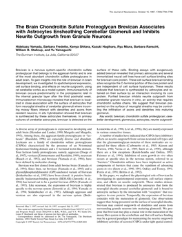 The Brain Chondroitin Sulfate Proteoglycan Brevican Associates with Astrocytes Ensheathing Cerebellar Glomeruli and Inhibits Neurite Outgrowth from Granule Neurons