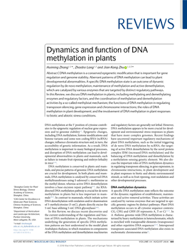 Dynamics and Function of DNA Methylation in Plants