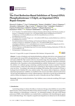 The First Berberine-Based Inhibitors of Tyrosyl-DNA Phosphodiesterase 1 (Tdp1), an Important DNA Repair Enzyme