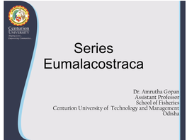 Series Eumalacostraca