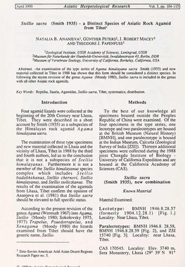 Xenagama (Moody 1980) the Lizards Paralectotypes: BMNH 1946.8