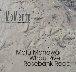 Motu Manawa Whau River Rosebank Road