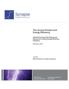 The Jevons Paradox and Energy Efficiency