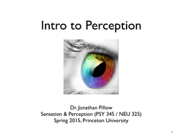 Intro to Perception