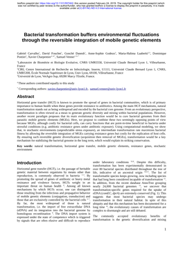 Bacterial Transformation Buffers Environmental Fluctuations Through the Reversible Integration of Mobile Genetic Elements