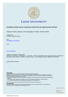 Cerebellar Cortical Neuron Responses Evoked from the Spinal Border Cell Tract