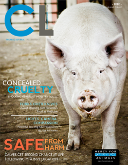 CRUELTY Shocking New Pork Industry Exposé