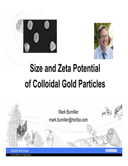 Size and Zeta Potential of Colloidal Gold Particles