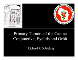 Primary Tumors of the Canine! Conjunctiva, Eyelids and Orbit! 