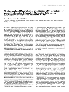 Or Vasoactive Intestinal Polypeptide-Containing Cells Among Gabaergic Cell Subtypes in Rat Frontal Cortex