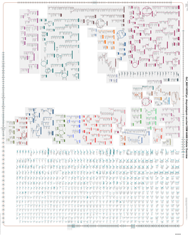 Generate Metabolic Map Poster